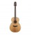 TAKAMINE GN20-NS GITARA AKUSTYCZNA LITY CEDR