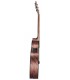 Baton Rouge AR31C ACE - gitara elektroakustyczna