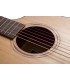 Baton Rouge AR31C ACE - gitara elektroakustyczna