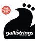 GALLI LS1047 STRUNY DO GITARY AKUSTYCZNEJ 10-47 PHOSPHORE BRONZE EXTRA LIGHT