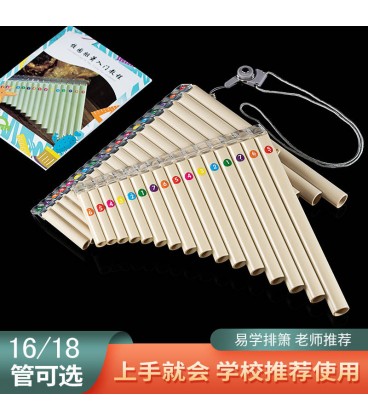 KERA AUDIO FLETNIA PANA PX-18 BEIGE + POKROWIEC MULTANKI SYRYNGA PISZCZAŁKI