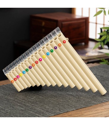 KERA AUDIO FLETNIA PANA PX-16 BEIGE + POKROWIEC MULTANKI SYRYNGA PISZCZAŁKI