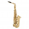 Arnolds & Sons AAS-100 saksofon altowy