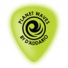 Planet Waves by D'Addario kostka do gitary Heavy 1CCG6