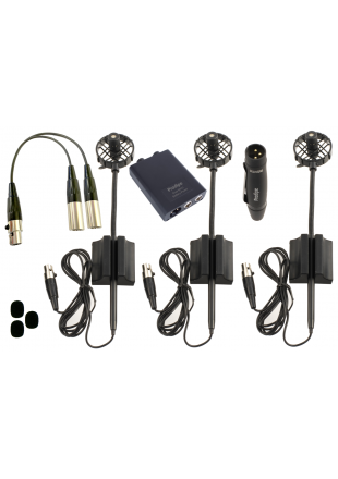 Prodipe UHF DSP AL21 PACK DUO - zestaw mikrofonów instrumentalnych do akordeonu