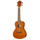 BATON ROUGE VX3/C-YC UKULELE KONCERTOWE PROMOCJA