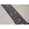 WASHBURN WS 300 H (TS)  gitara elektryczna